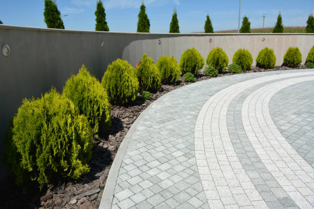 Best Professional Driveway Pavers  in Laupahoehoe, HI