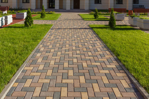 Best Local Driveway Pavers  in Laupahoehoe, HI